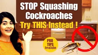 How to Get Rid of Cockroaches Without Killing Them