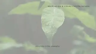 Visualizaci&oacute;n Guiada del Color | Libera Tensiones y Llena tu Cuerpo de Calma