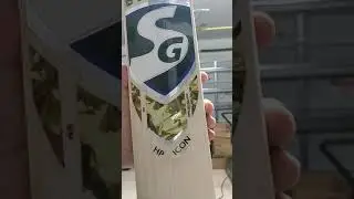 SG HP Icon Cricket bats review