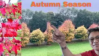 Autumn Season in Canterbury Uk| Enjoy my VLOG