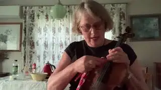 How to Clean your Stringed Instrument