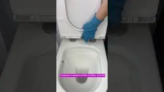 КАК ПРАВИЛЬНО УХАЖИВАТЬ ЗА УНИТАЗОМ?
