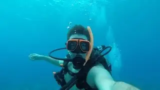 Scuba Diving - U.S. Virgin Islands