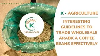 Interesting guidelines to trade wholesale Arabica coffee beans effectively | K-Agriculture