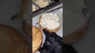 Everything Bagel w/ Cream Cheese