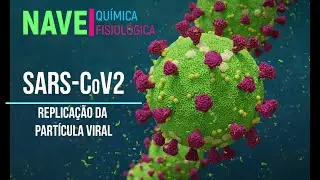 Mecanismos celulares para replicação do SARS-CoV-2 nas células