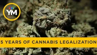 Marking five years of cannabis legalization in Canada | Your Morning