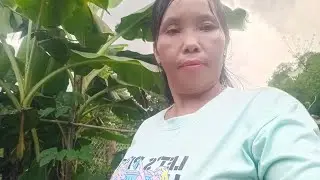 plam neej tag mam ncog khuv xim1#/2/223