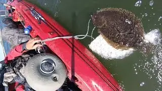 Fishing for Fluke Under a Bluefish Blitz - Jumbo Flounder Bucktailing 6/10/2016
