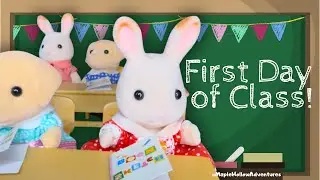 First Day of Class in Maple Hollow | Calico Critters & Li&rsquo;l Woodzeez Story