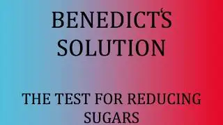 IGCSE BIOLOGY - Testing For Reducing Sugars