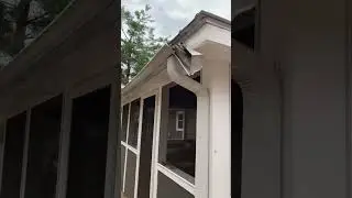 The Exterior Damage of a Tree Fall in North Carolina.