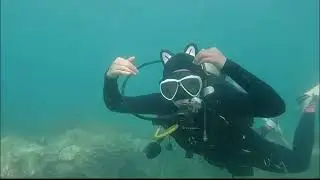 Dive Into The Deep With HYDRONE 3mm Cat Scuba Hood😽🤿#scubadiving #scubahood #divinghood