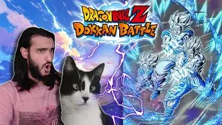 INVOCATION DOKKAN BATTLE - LA REVANCHE SUR GOHAN FT CHAT QUI LOUCHE !