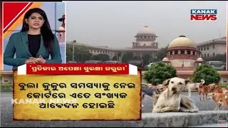 Supreme Court Serious on Stray Dog Menace | Public Safety More Important Than Treatment