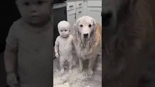 Преступление НА КУХНЕ😳