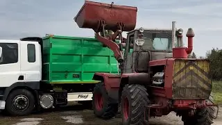 Наш &laquo;manitou&rdquo; 😂 легендарний Т-156 🚜, загрузка кукурудзи🌽 , обробка поля після соняшника 🌻YouTube
