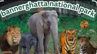 Bannerghatta National Park | Bangalore Zoo | Bannerghatta Complete Details #blogger #india #viral