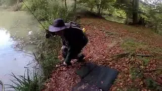 Carp on the dog biscuit fly