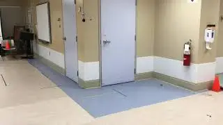 Gets Through Hinged Door