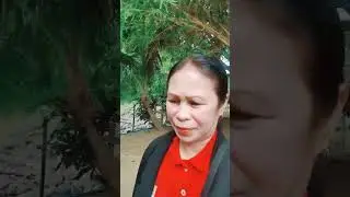 GOOD EVENING EVERYONE HERMOSA BATAAN FOR NICE PLACE PUNTABELLE FARM RESORT 