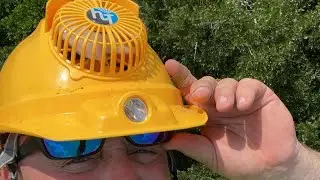 TREE LIFE 1 LLC / Roger Waldman LIVE / 584-TREE/ BUCKET TRUCK WORK OVER A POOL