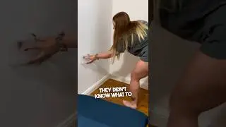 Эти девчонки не смогли поймать паука 😂