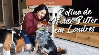ROTINA DE HOUSE SITTER EM LONDRES | Cuidando de dois cachorros | Rotina de Au Pair de cachorro
