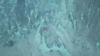 Reel Drones ok
