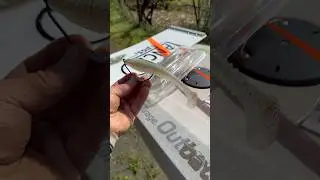 Oregon Kayak Bass Fishing The Hunt for a 9 pounder #kayakbassfishing #swimbait ##oregonbass #shorts