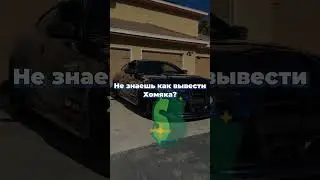 Смотри инструкцию в профиле 💸💪#hamstercombo #hamsterkombat #хомяк