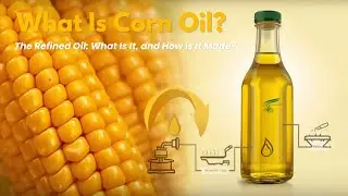 🌽 What Is Corn Oil & How Is It Made? | The Surprising Journey From Kernel to Kitchen 🍳
