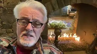 All about dog breeding Q&A 11/12/22