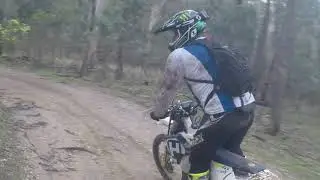 Mount Cole........Brad the Wallaby Magnet