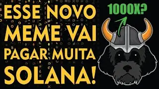 MYRO FLOKI CEO | NOVO MEME PAGA SOLANA E PODE FAZER 1000X!