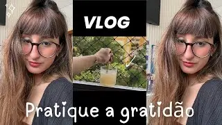 VLOG-Como ter dias mais leves e mais felizes através da gratidão🤍🍃