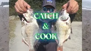 Big Redtail Perch Catch and Cook - Redwood fish