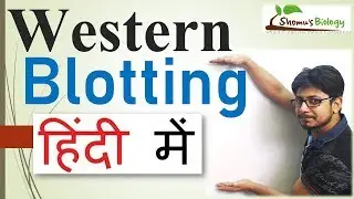 Western Blotting in Hindi