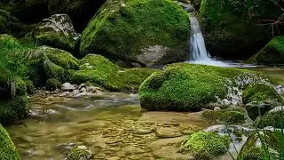 Calm Mountain Stream | 8 Hours Relaxing ASMR Nature Sounds for Sleep & Stress Relief