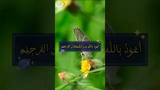 Best quran recitation || Tilawat Quran with Arabic subtitles || Islamic Video#quran #shortsviral