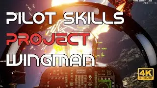Improve Your Pilot Skills w/ Project Wingman
