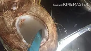 Julienne cut tender coconut tricks !