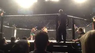 UFC on Fox 23 -3