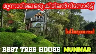 Bamboo dale resort munnar | Bamboo dale resort| Bamboo dale tree house| best honeymoon resort munnar