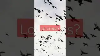 #jeshua #hijodedios #resurrection #salva&ccedil;&atilde;o #salvation #atuspies  #shortvideo
