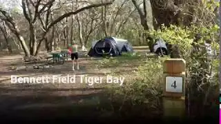 Bennett Field Tiger Bay