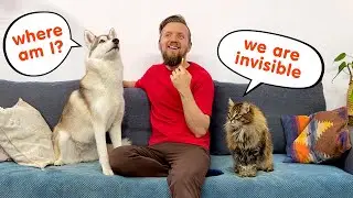 I Lost My Dog and Cat! Funny Dog Prank