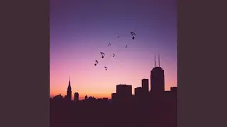 Quiet Storm City