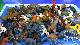 100 Animales-Aprende  nombrdes  animales con juguetes m&aacute;gicos-Enciclopedia de animales