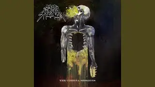 Plague Unleashed